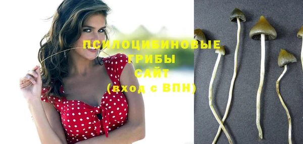 соль курить ск Бронницы