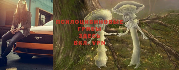 крисы Протвино